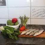 فيلة Mila مورتير